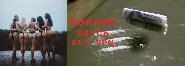 шишки Балахна