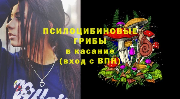 винт Арсеньев